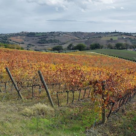 Agriturismo Al Rifugio Divino Belvedere Ostrense المظهر الخارجي الصورة