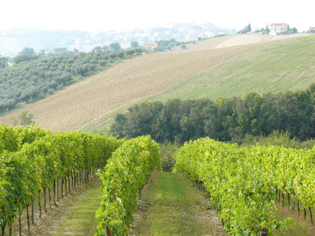 Agriturismo Al Rifugio Divino Belvedere Ostrense المظهر الخارجي الصورة